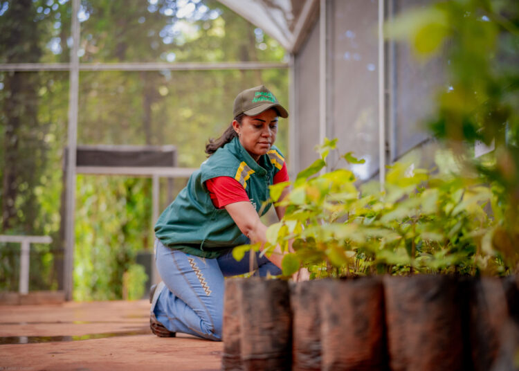 Foto: Paulo de Tarso