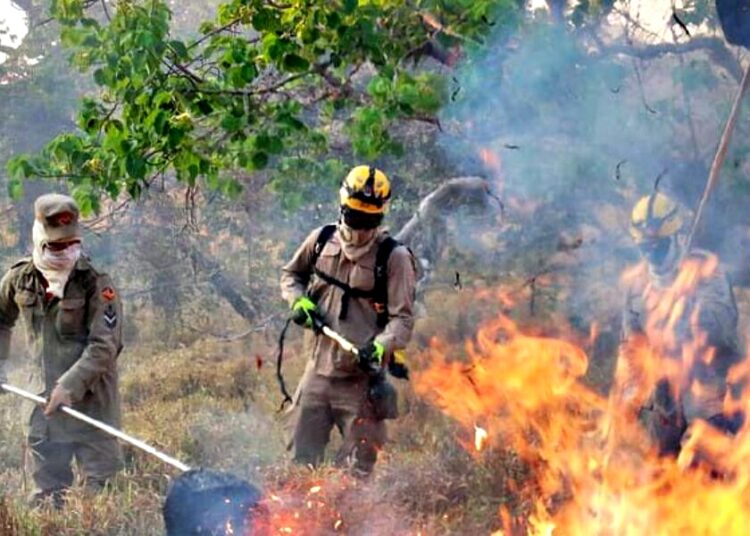 Combate a incêndio no cerrado goiano- Imagem de Arquivo