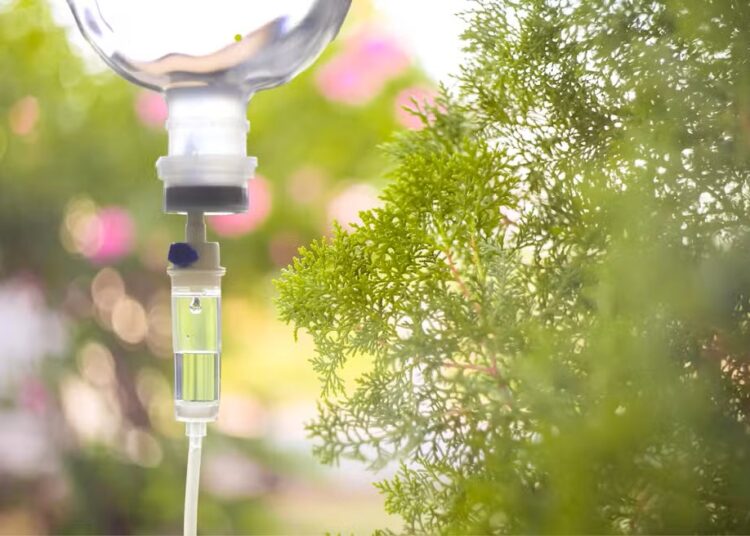 Prática conhecida como soroterapia
não tem aval da Vigilância Sanitária. Imagem: Reprodução