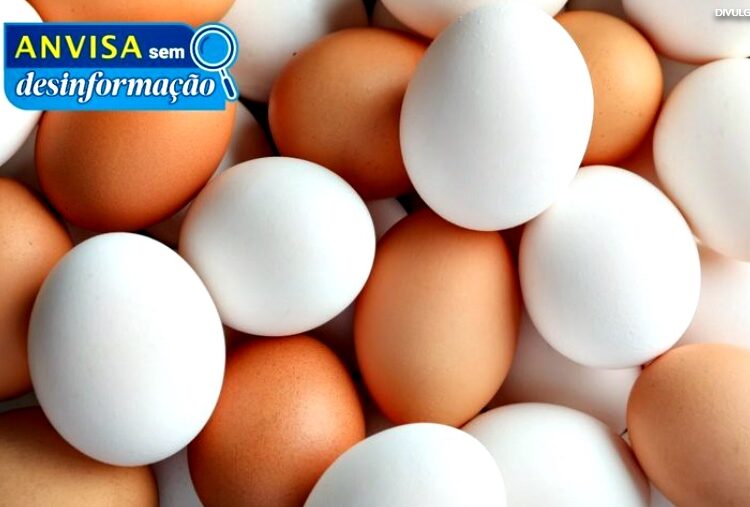 Anvisa- Ovo- Fake News- Divulgação