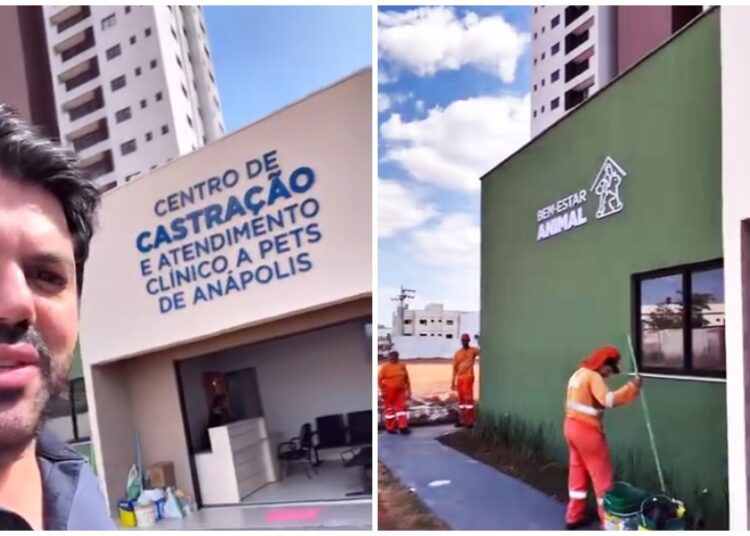 Centro de Castração- Anápolis