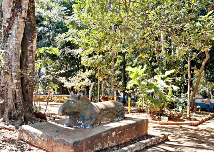 Parque da Matinha- Contexto