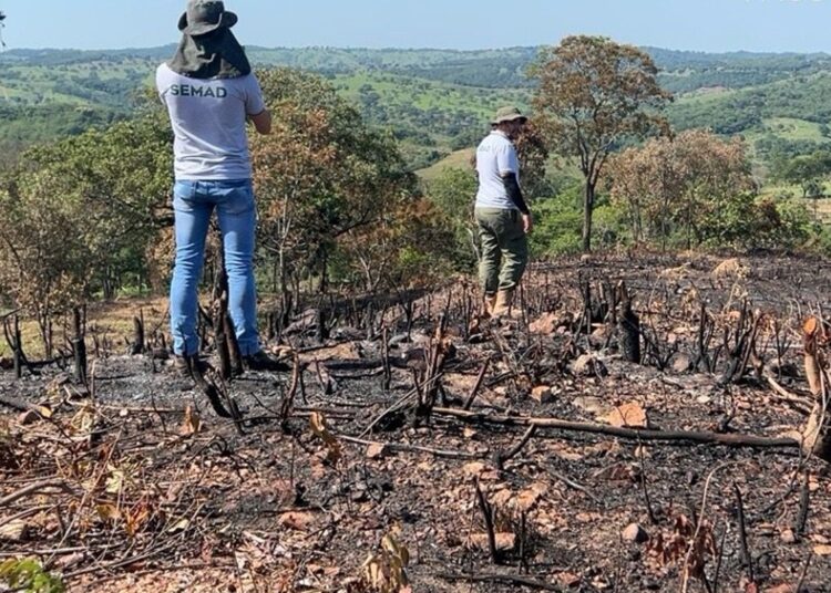 Fiscais da Semad trabalham no combate ao desmatamento ilegal em Goiás. | Foto: Divulgação Semad
