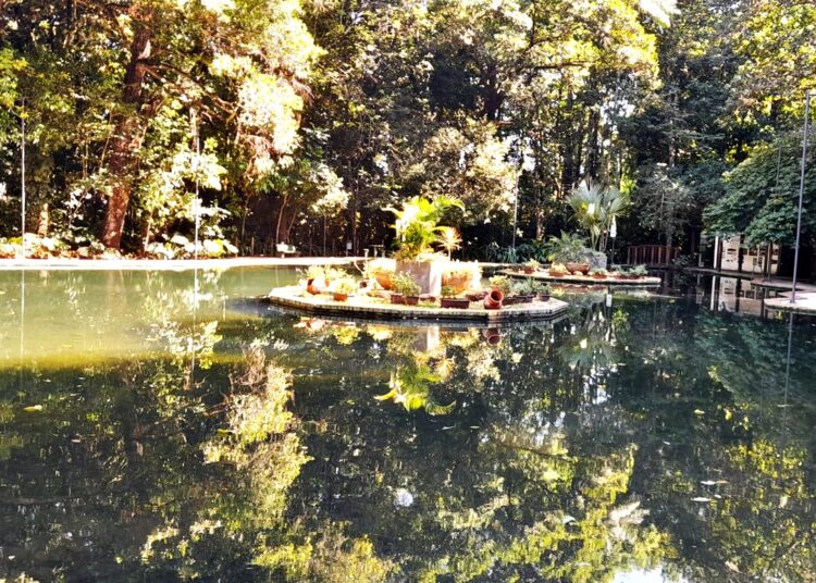 Jardim Botânico de Anápolis- Foto- Claudius Brito