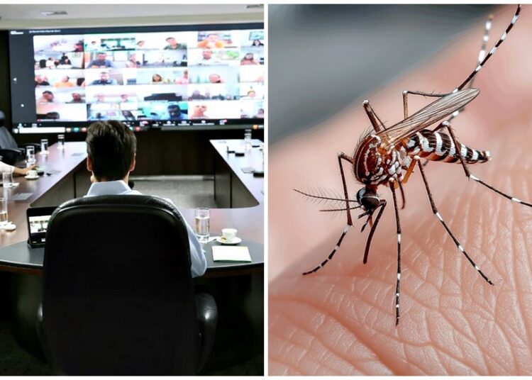 Dengue Goiás- Imagem Ilustrativa