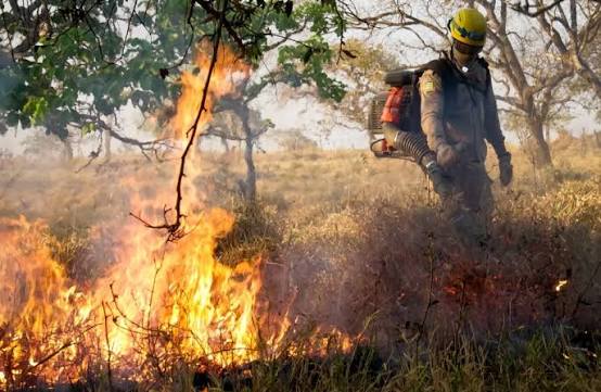 Goiás passou pela estiagem com menos fogo em vegetações. Imagem: Reprodução