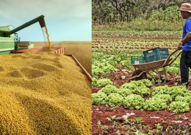 Imagem: Reprodução